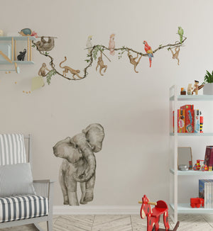 Elephant, parrots and monkeys - jungle wall sticker set