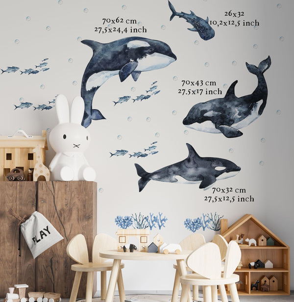 Underwater Adventure with Orcas