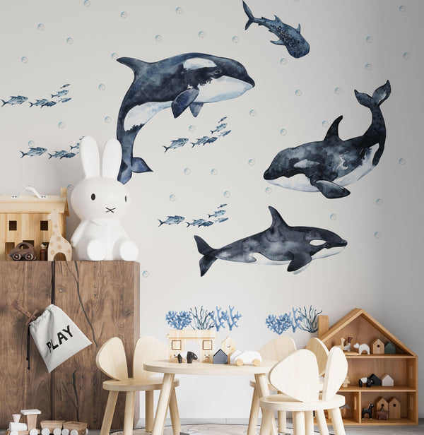 Underwater Adventure with Orcas