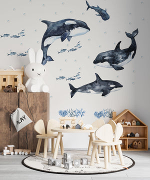 Underwater Adventure with Orcas