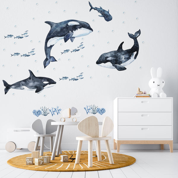 Underwater Adventure with Orcas