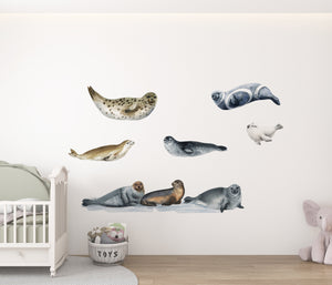 Ocean seals marine life wall decals - adorable sea animals nursery collection peel and stick by Igibee