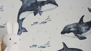 Underwater Adventure with Orcas