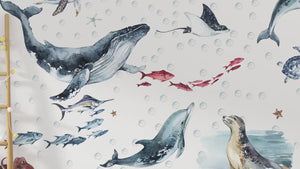 Ocean mammals set with dolphins, whale and seal